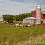 Big Pharma wants livestock animals to be injected with mRNA, but Missouri, North Dakota, Idaho, Tennessee and Arizona are proposing legislation to stop it